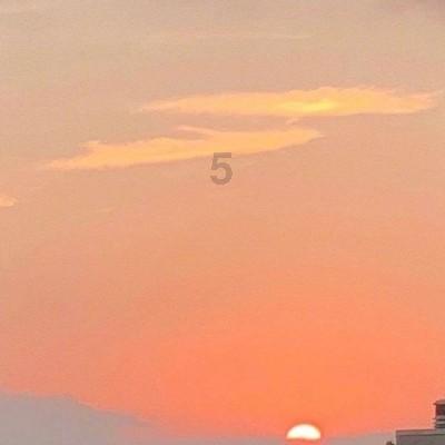 求一本古代言情小说，现代女孩儿穿越到古代变成了一只狐狸偶遇摄政王游戏画面