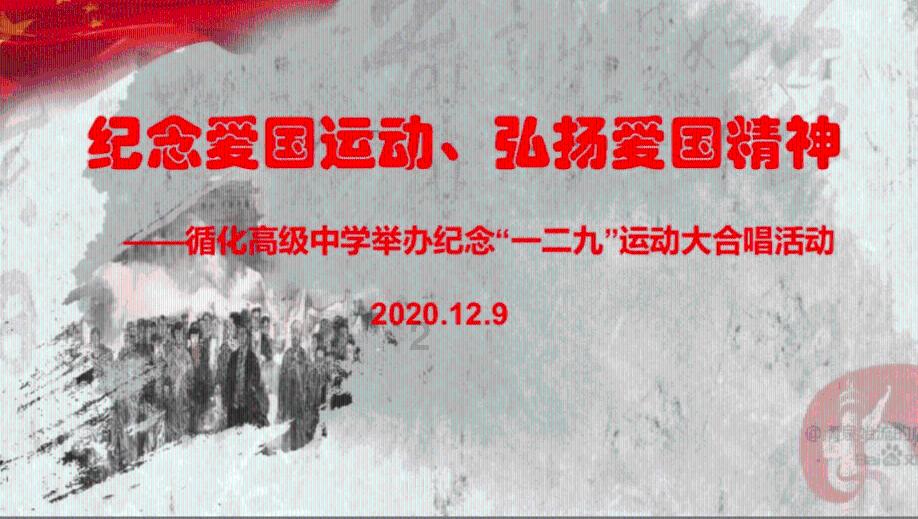 美人鱼的聚会